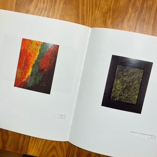 Catalogo Soledad Sevilla