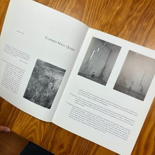 Catalogo Soledad Sevilla