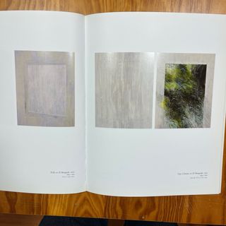 Catalogo Soledad Sevilla