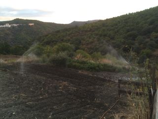 Parcela Rústica de regadio en Cartajima