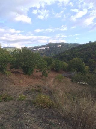 Parcela Rústica de regadio en Cartajima