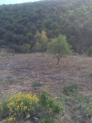Parcela Rústica de regadio en Cartajima