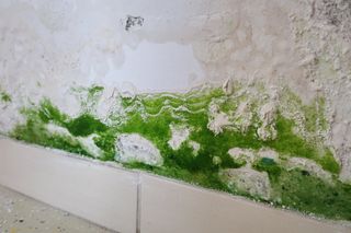 ARREGLO DE HUMEDADES Y FILTRACIONES