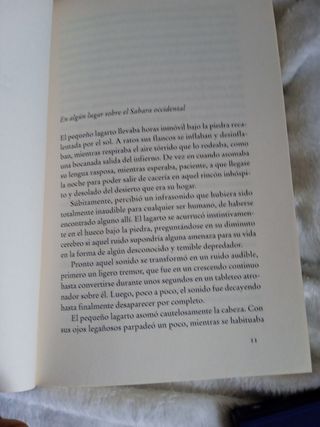 MANEL LOUREIRO, APOCALIPSIS 2