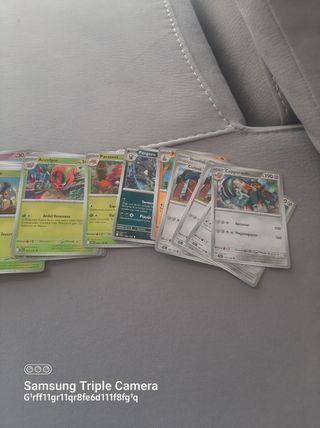 Cartas pokemon