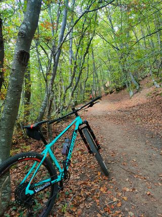 Megamo elite Eagle 05 MTB