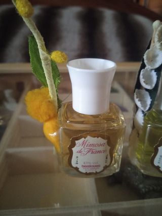 Miniaturas Berdouge.