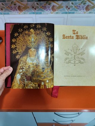 Santa Biblia Familiar Mod. 1 (Spanish Edition)