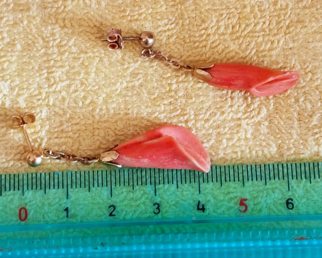 🔥 Antico Orecchini Corallo e Argento
