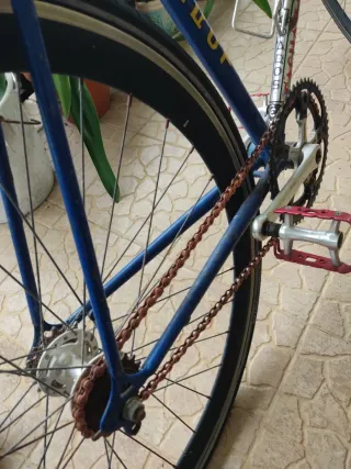 Bicicleta clásica Torrot single speed – talla 55