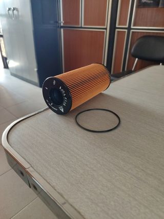 Filtro Gasoil Massey Ferguson