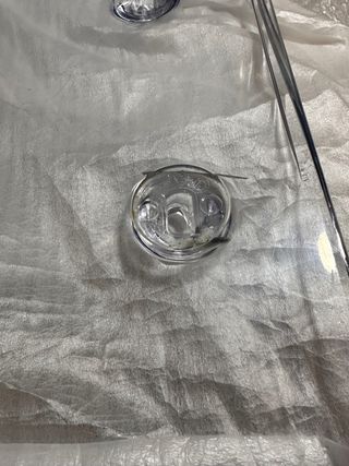 SEDIE TOBIAS IKEA TRASPARENTI