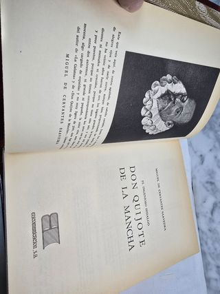 Don Quijote de la Mancha ilustrado por Doré
