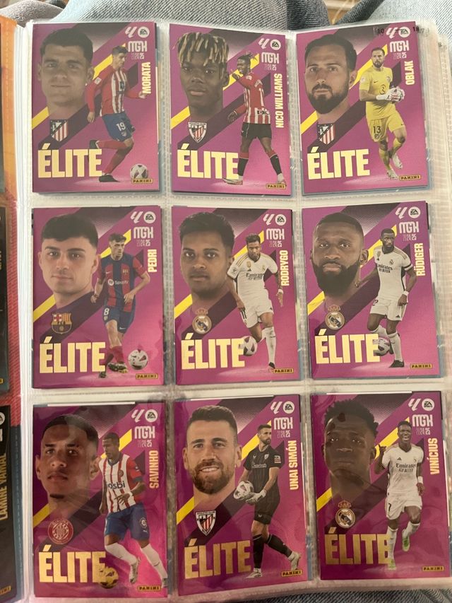 Megacracks 2024-2025