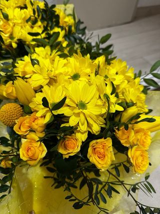 Jardinero / plantas/ flores
