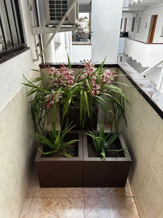 Jardinero / plantas/ flores