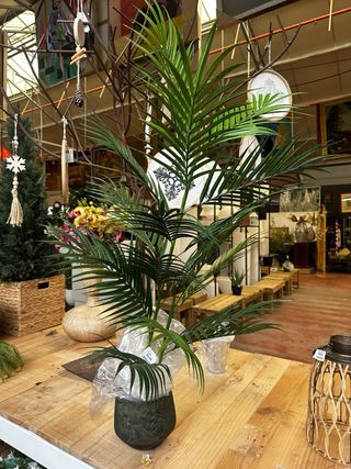 Jardinero / plantas/ flores