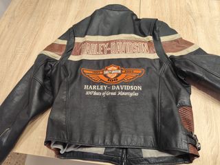 cazadora  Harley