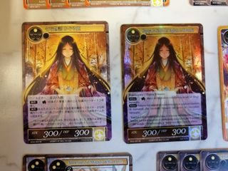 Blocco 50 Carte TCG Force of Will - MOA (parte 1)