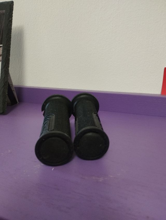 Manopole della Domino