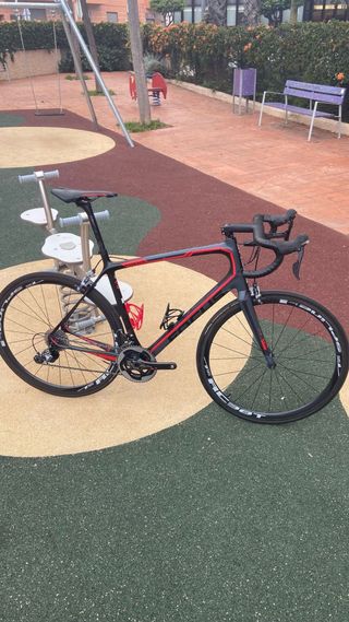 Bici Focus Izalco ergoride talla XL