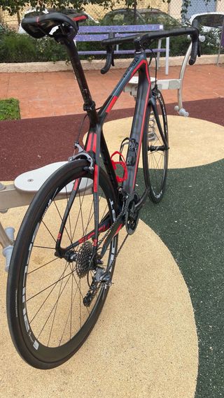 Bici Focus Izalco ergoride talla XL