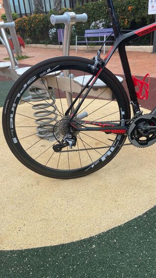 Bici Focus Izalco ergoride talla XL
