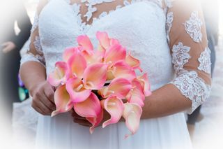 Traje de novia marca pronovias