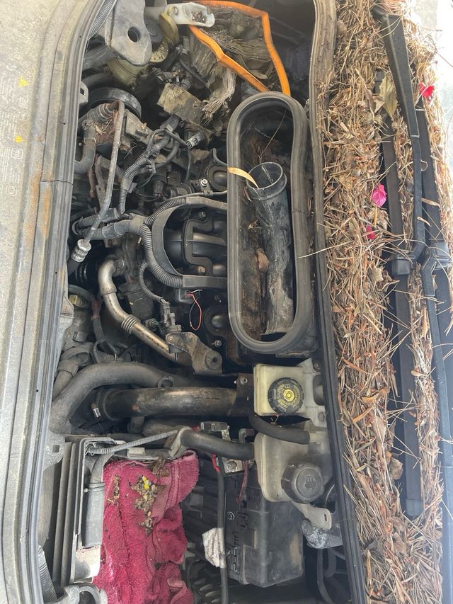 Renault Grand Espace dci