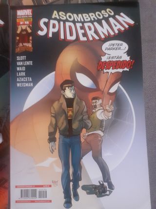 Lote Spiderman Panini