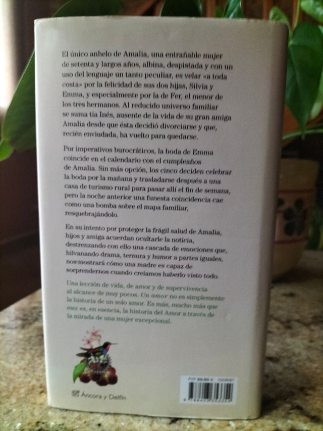 Un amor: Premio Nadal de Novela 2018 (Spanish Edition)