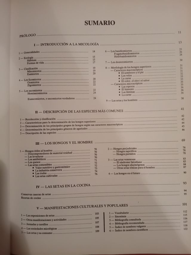 EL LIBRO DE LAS SETAS