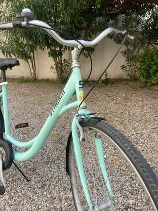 Bicicletas de paseo