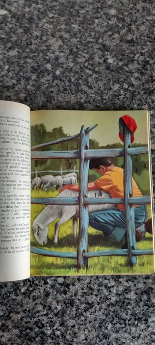 I Pascoli dell'altopiano 1966 Joseph Kru