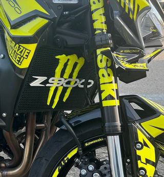 Logo Monster Z900