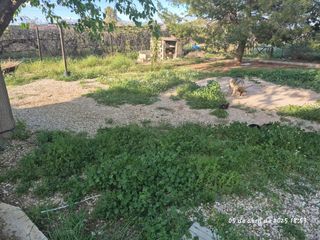 Se desbrozan parcelas