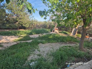 Se desbrozan parcelas