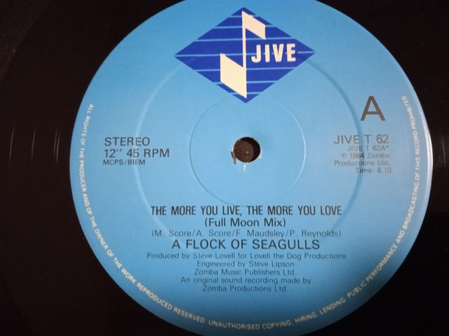 A Flock Of Seagulls The More You Live The More You