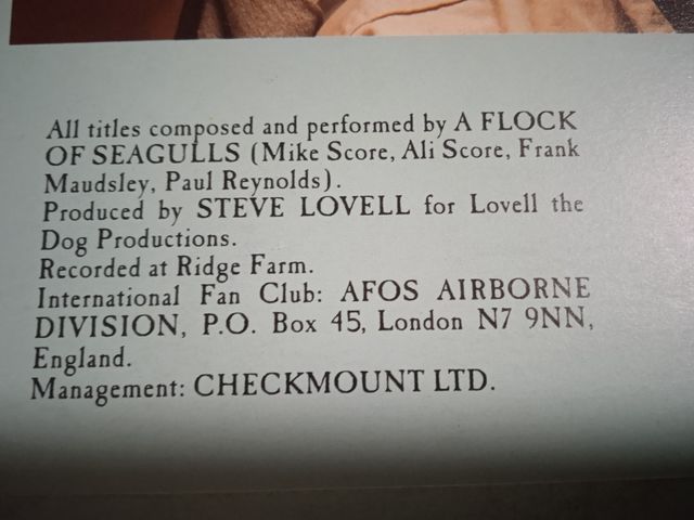 A Flock Of Seagulls The More You Live The More You