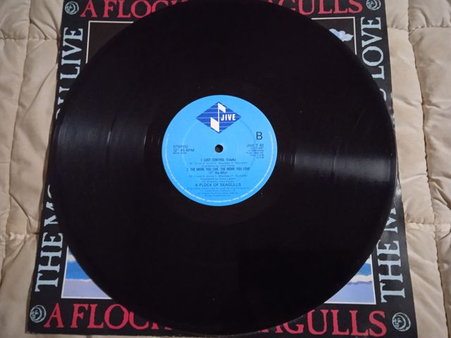 A Flock Of Seagulls The More You Live The More You