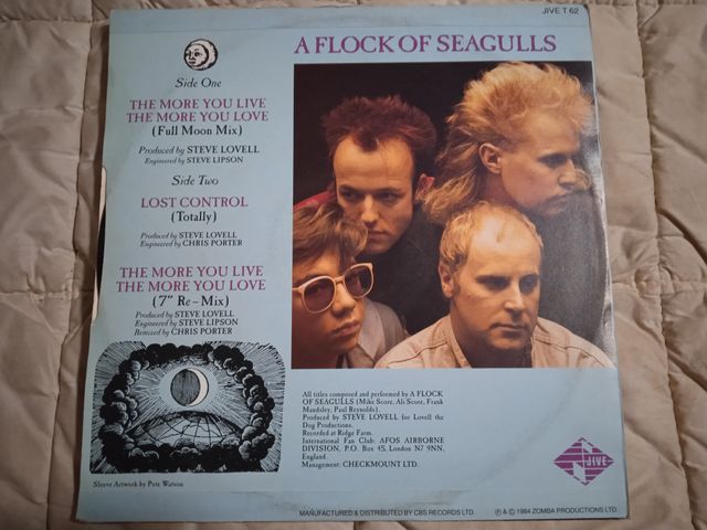 A Flock Of Seagulls The More You Live The More You
