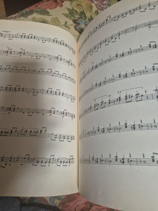 Guitarra