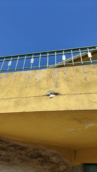 Trabajos de pintura y reformas