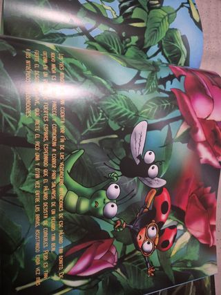 El gusanito explorador