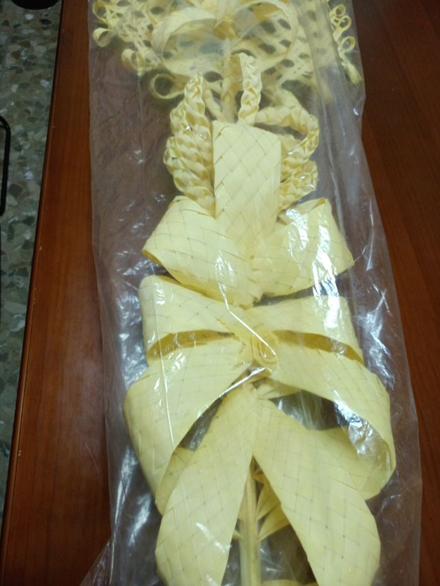 PALMA De Semana Santa