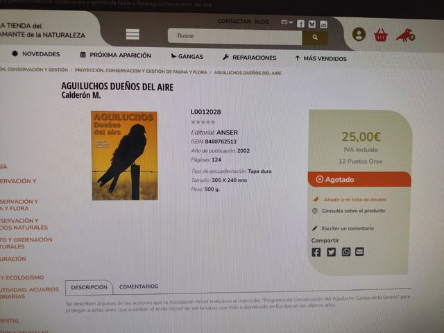 Aguiluchos Dueños del Aire. 