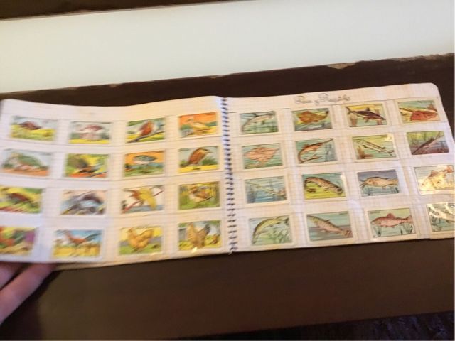 Album cromos antiguo