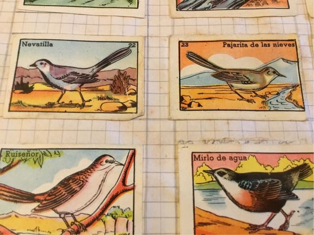 Album cromos antiguo