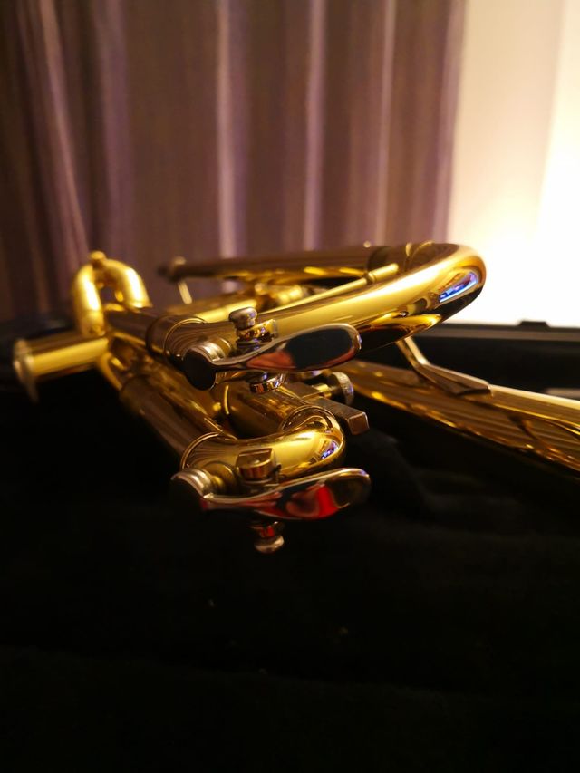 Tromba sib Bach Tr300H Usa Pride