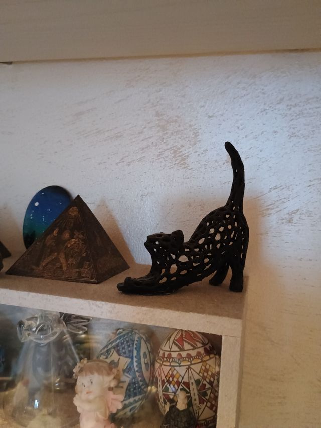 2 piccoli gattini bianco e nero 